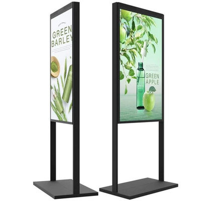 Affichage de vitrine numérique résistant au noirage 55 pouces léger